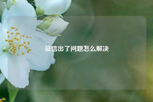 征信出了问题怎么解决